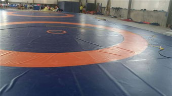 標準比賽摔跤墊子 活力體育現貨 中國式標準比賽摔跤墊子