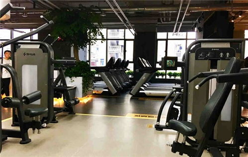 戶外健身器材 襄陽舒揚文體用品公司 圖